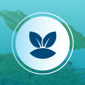 Acreditaciónpor profepa