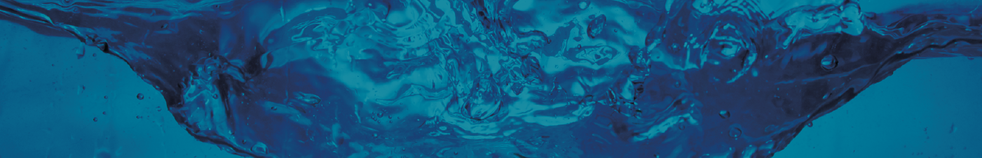 Día mundial del agua