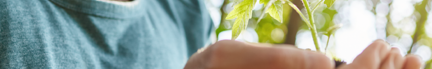 Responsabilidad Social Empresarial