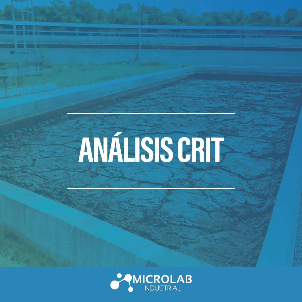 Análisis CRIT