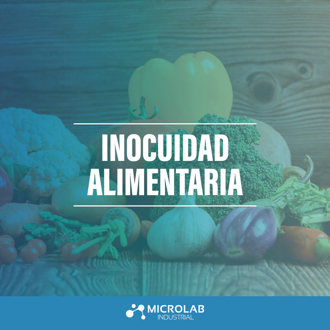 Inocuidad Alimentaria