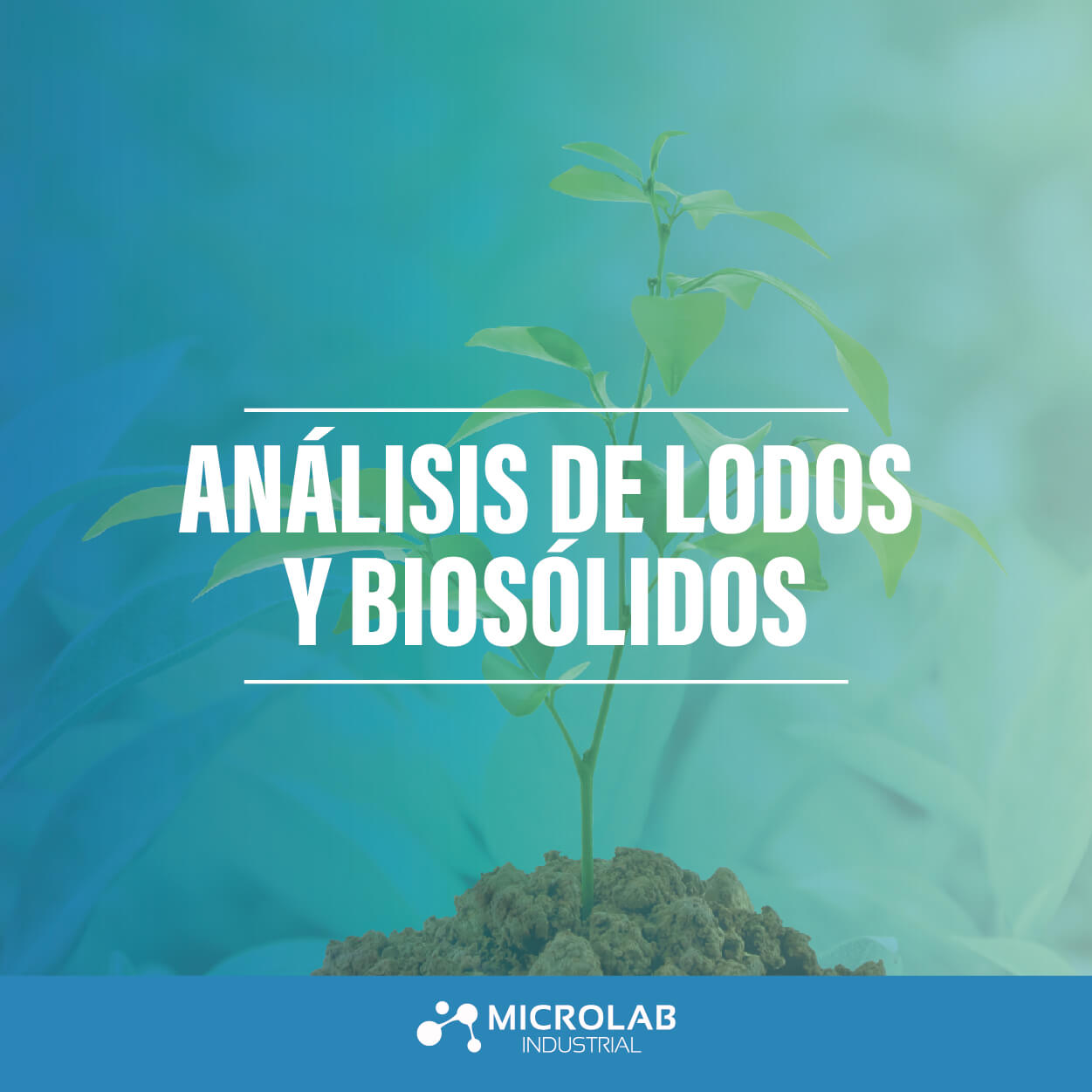 Análisis de lodos y biosólidos
