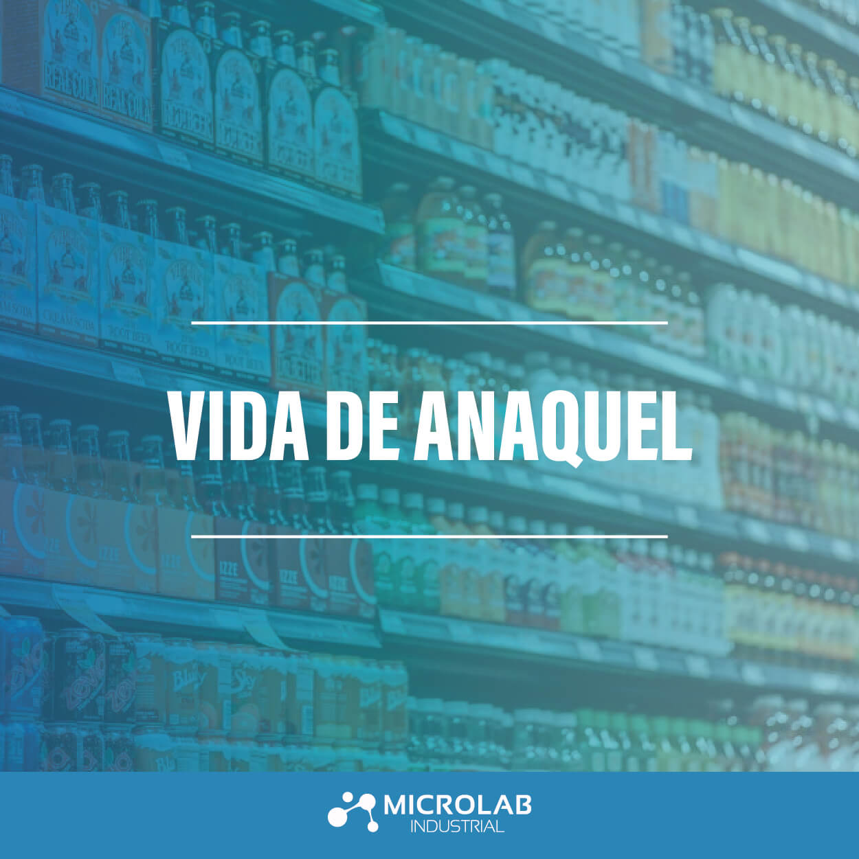 Vida de Anaquel